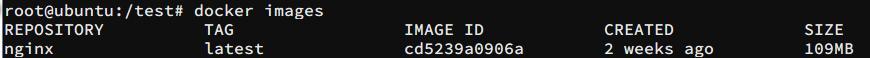 nginx image